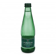 AGUA MINERAL CON GAS ENVASE DE VIDRIO 300 CC