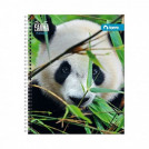 CUADERNO UNIVERSITARIO MATEMATICA CLASICO FAUNA 7 MM 100 HOJAS