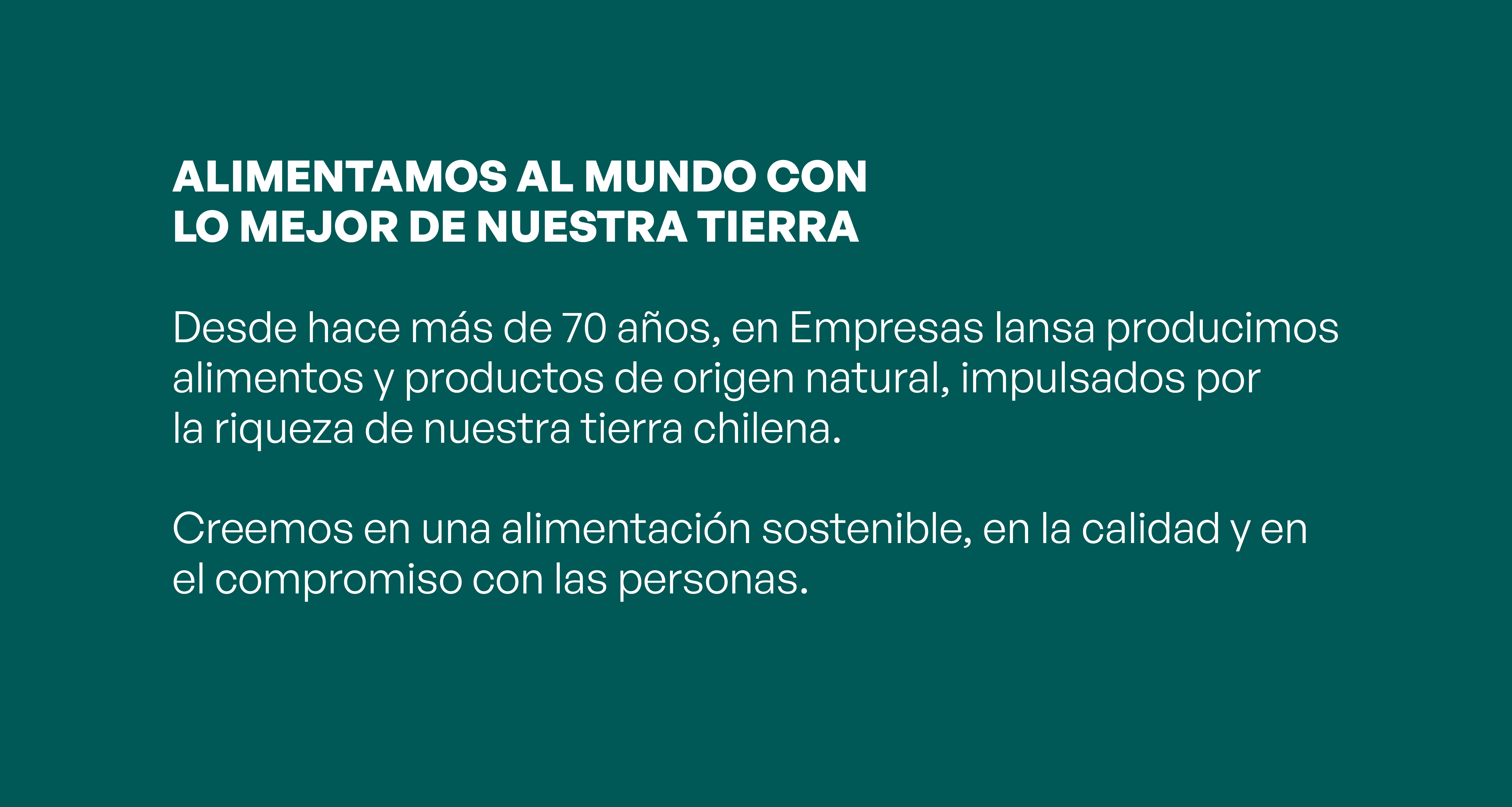 Catálogo digital 2024